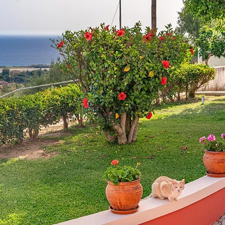 Сasa de vacaciones Angelina's Sea View Argostoli (Kefalonia)